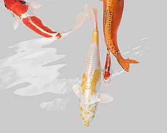 英国新一周实体销量榜 《乐高星球大战 天行者传奇》夺冠